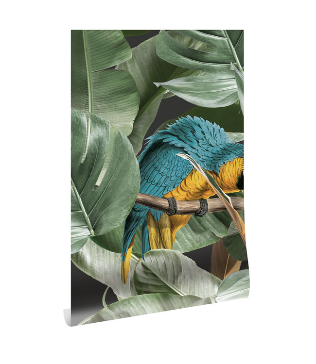 Tapete Botanical Birds, 97.4 x 280 cm