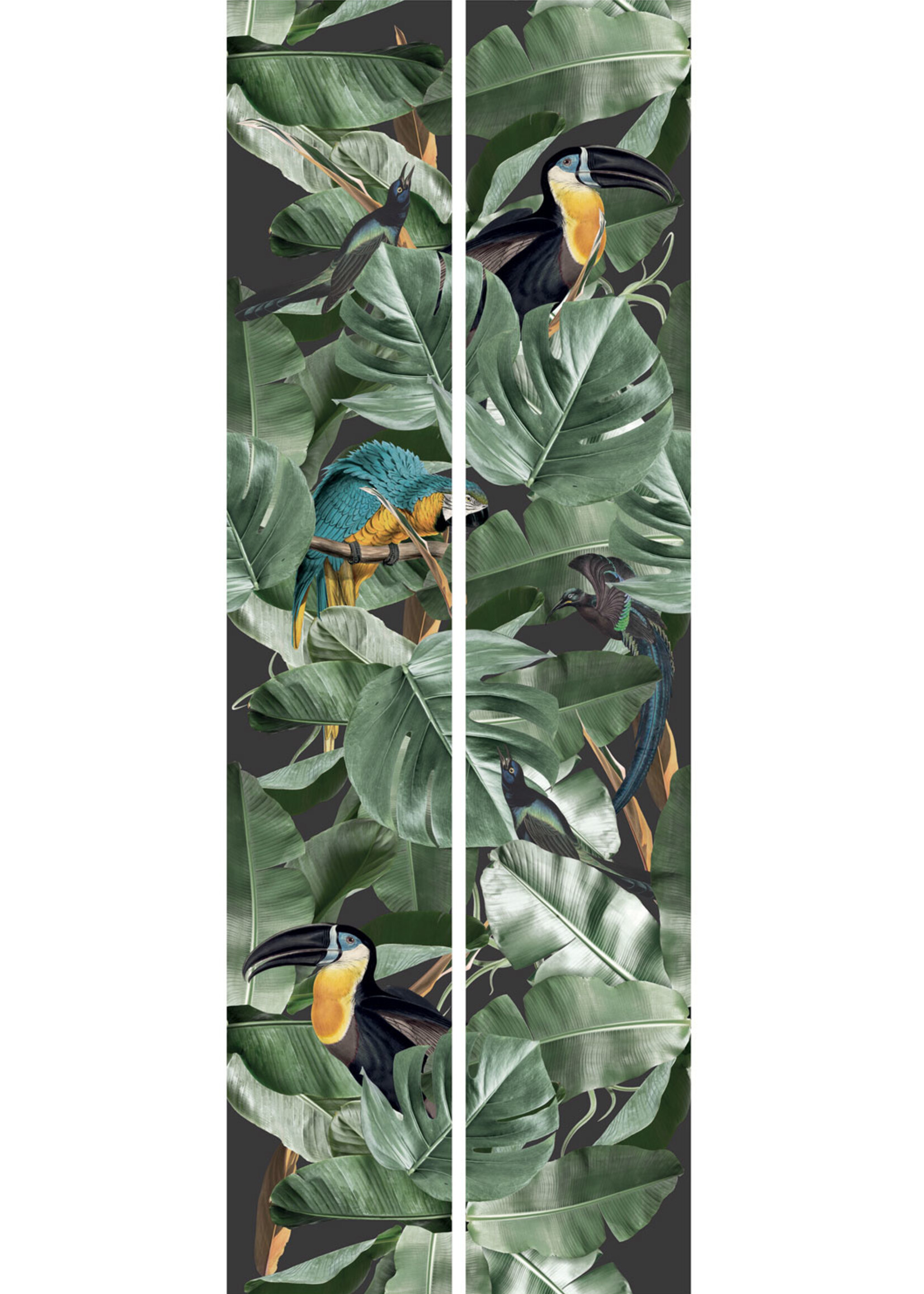 Tapete Botanical Birds, 97.4 x 280 cm