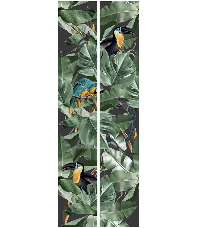 Botanisch behang Botanical Birds, 97.4 x 280 cm