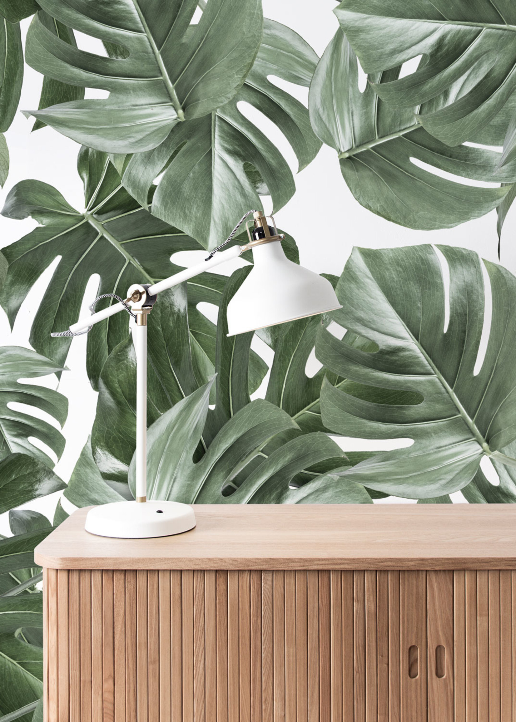 Bladeren behang Monstera, 97.4 x 280 cm