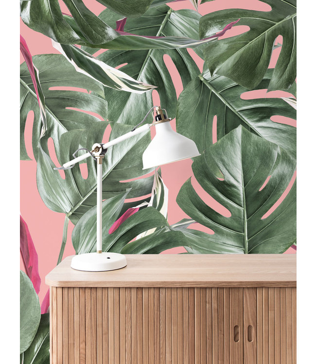 Bladeren behang Monstera, 97.4 x 280 cm