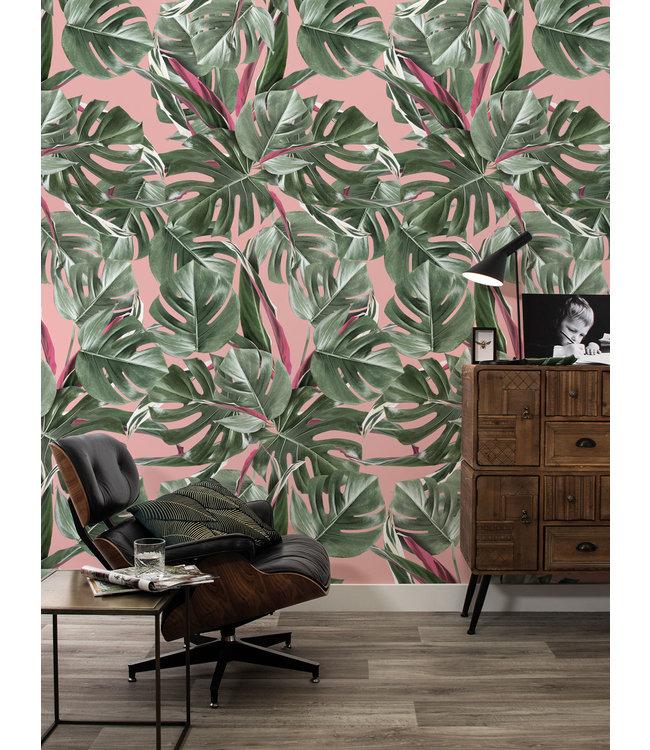 Bladeren behang Monstera, 97.4 x 280 cm