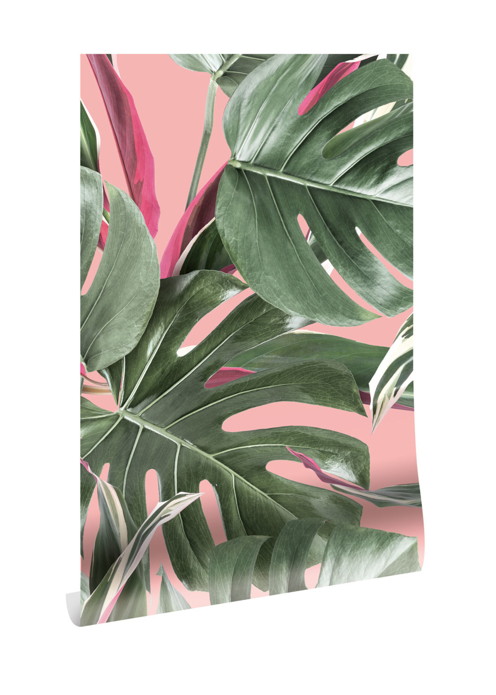 Botanical Tapete Monstera, 97.4 x 280 cm