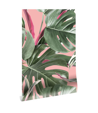 Herhaalbaar Botanical Tapete Monstera