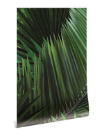 Bladeren behang Palm