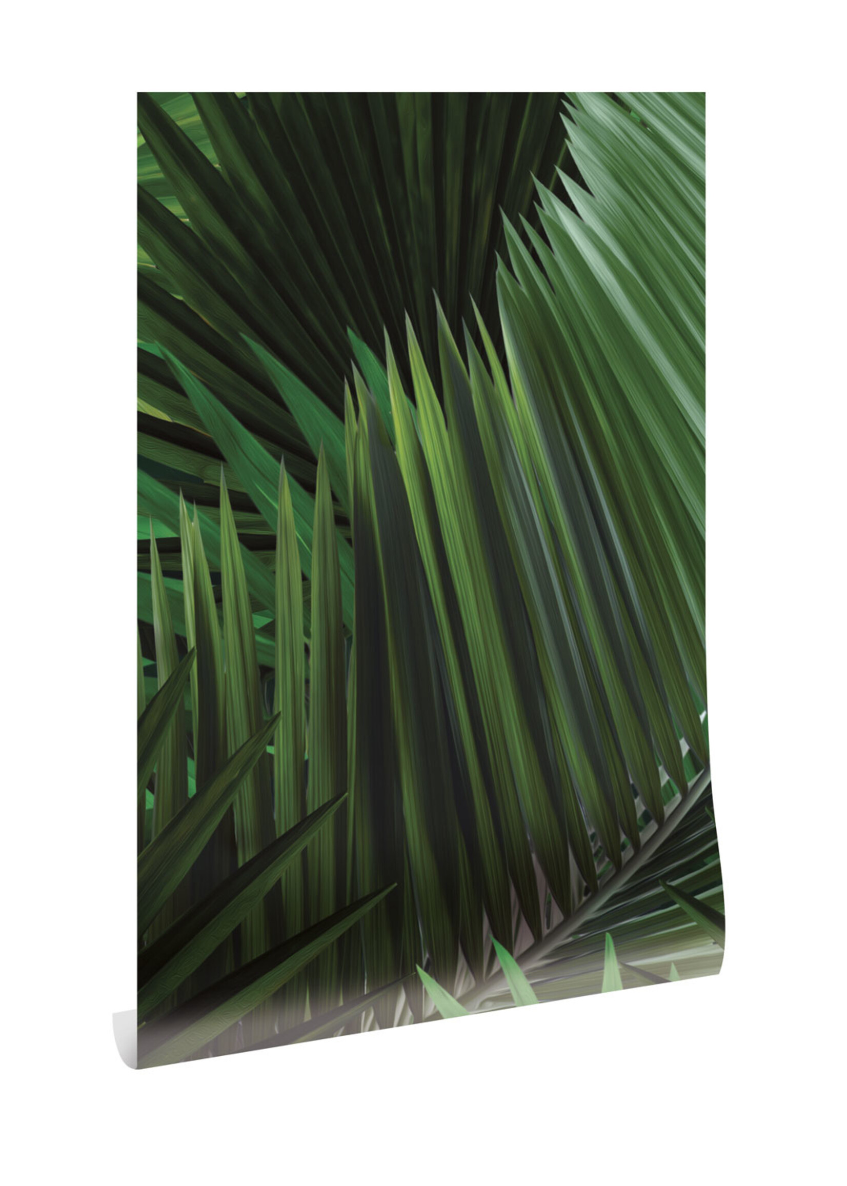 Botanical wallpaper Palm, 97.4 x 280 cm