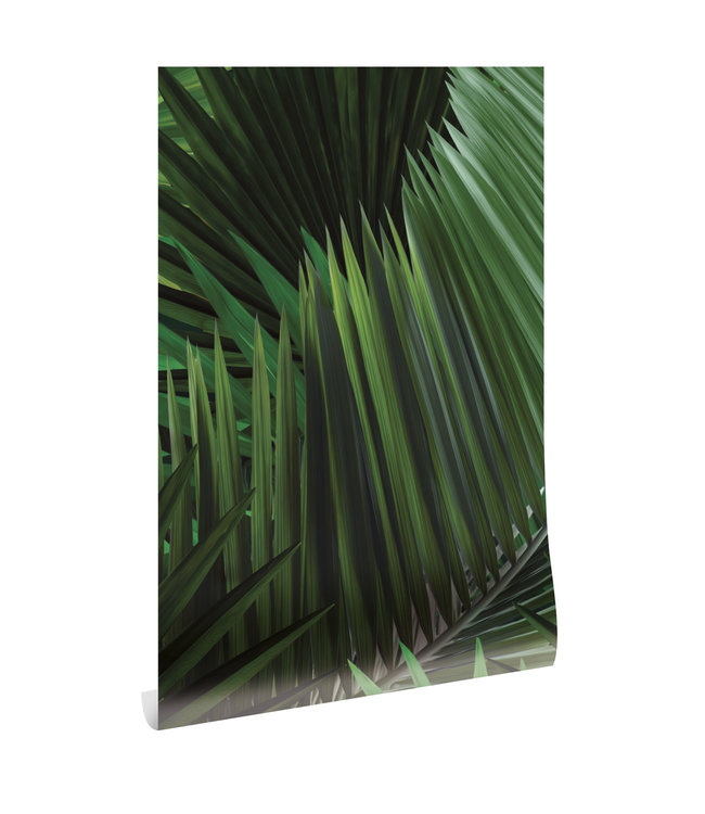 Bladeren behang Palm, 97.4 x 280 cm