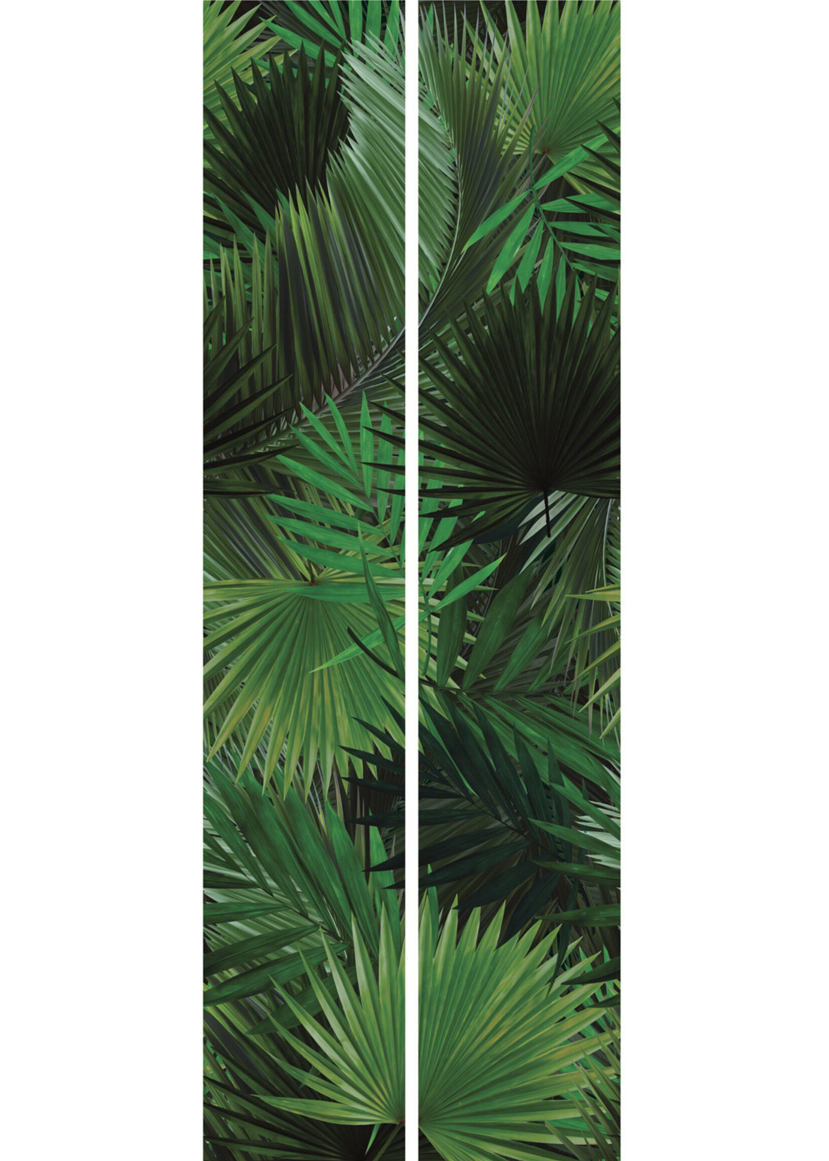 Botanical wallpaper Palm, 97.4 x 280 cm