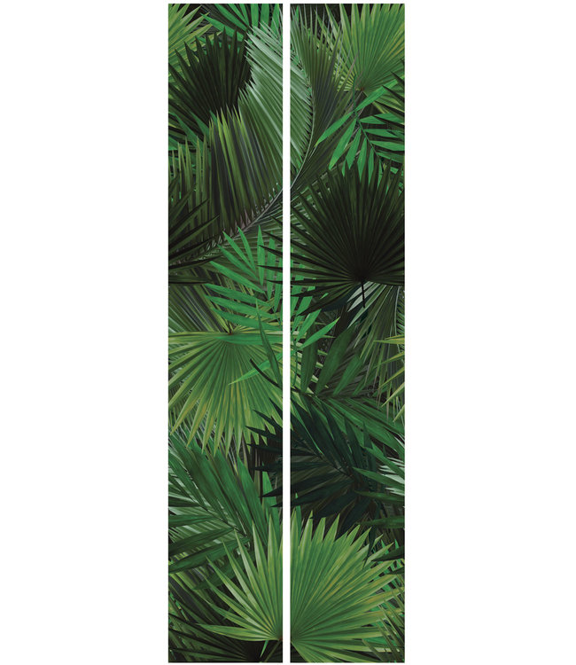 Bladeren behang Palm, 97.4 x 280 cm