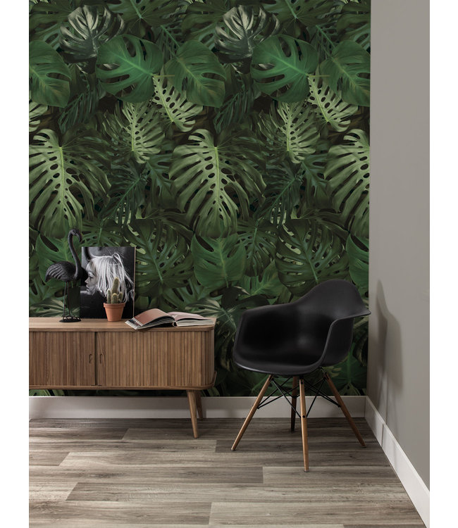 Bladeren behang Monstera, 97.4 x 280 cm