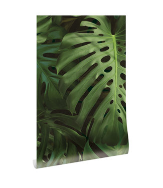 Herhaalbaar Botanical wallpaper Monstera