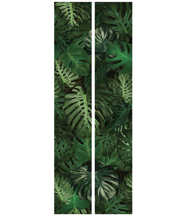 Botanical wallpaper Monstera, 97.4 x 280 cm