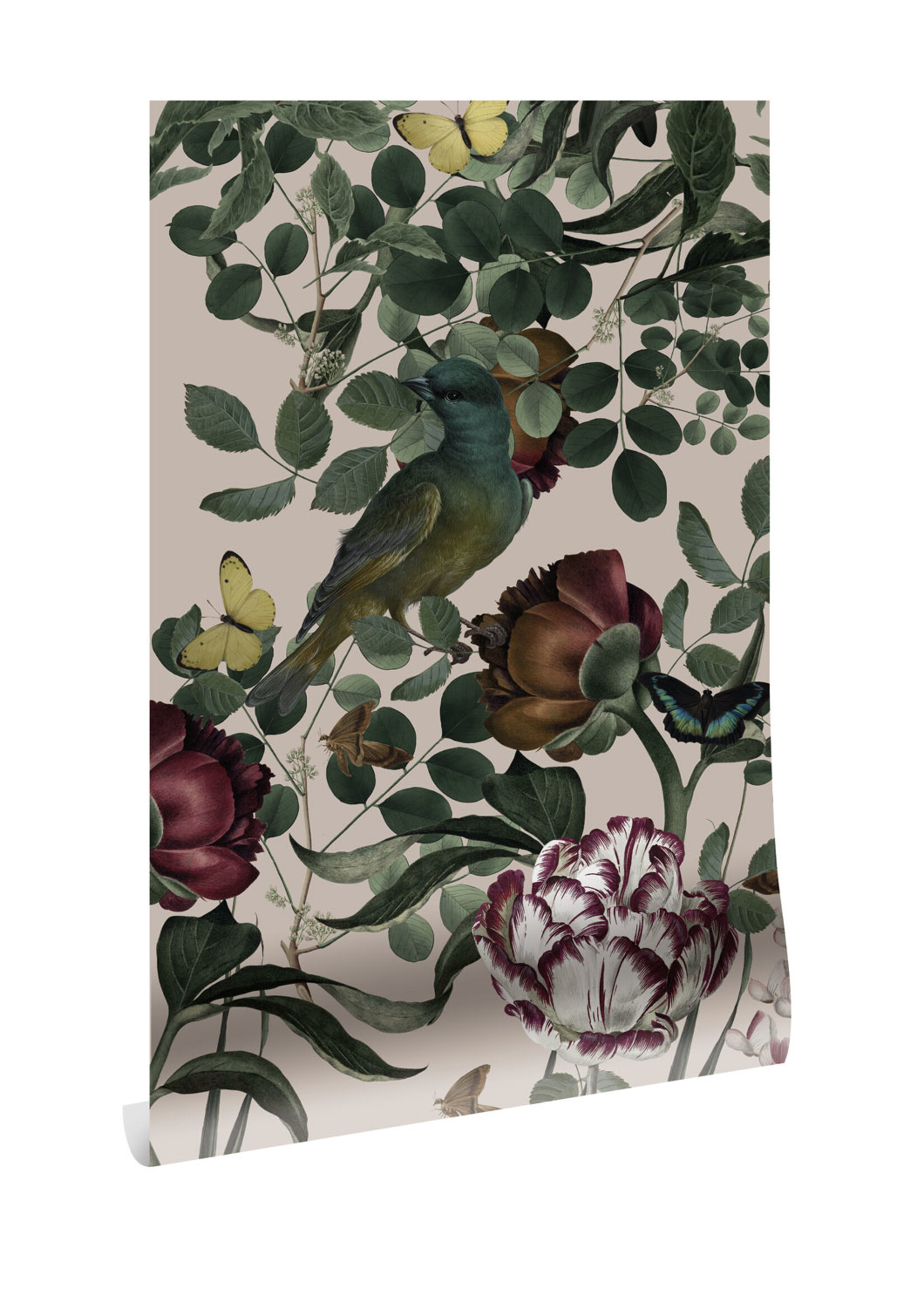 Botanisch behang Bold Botanics, 97.4 x 280 cm