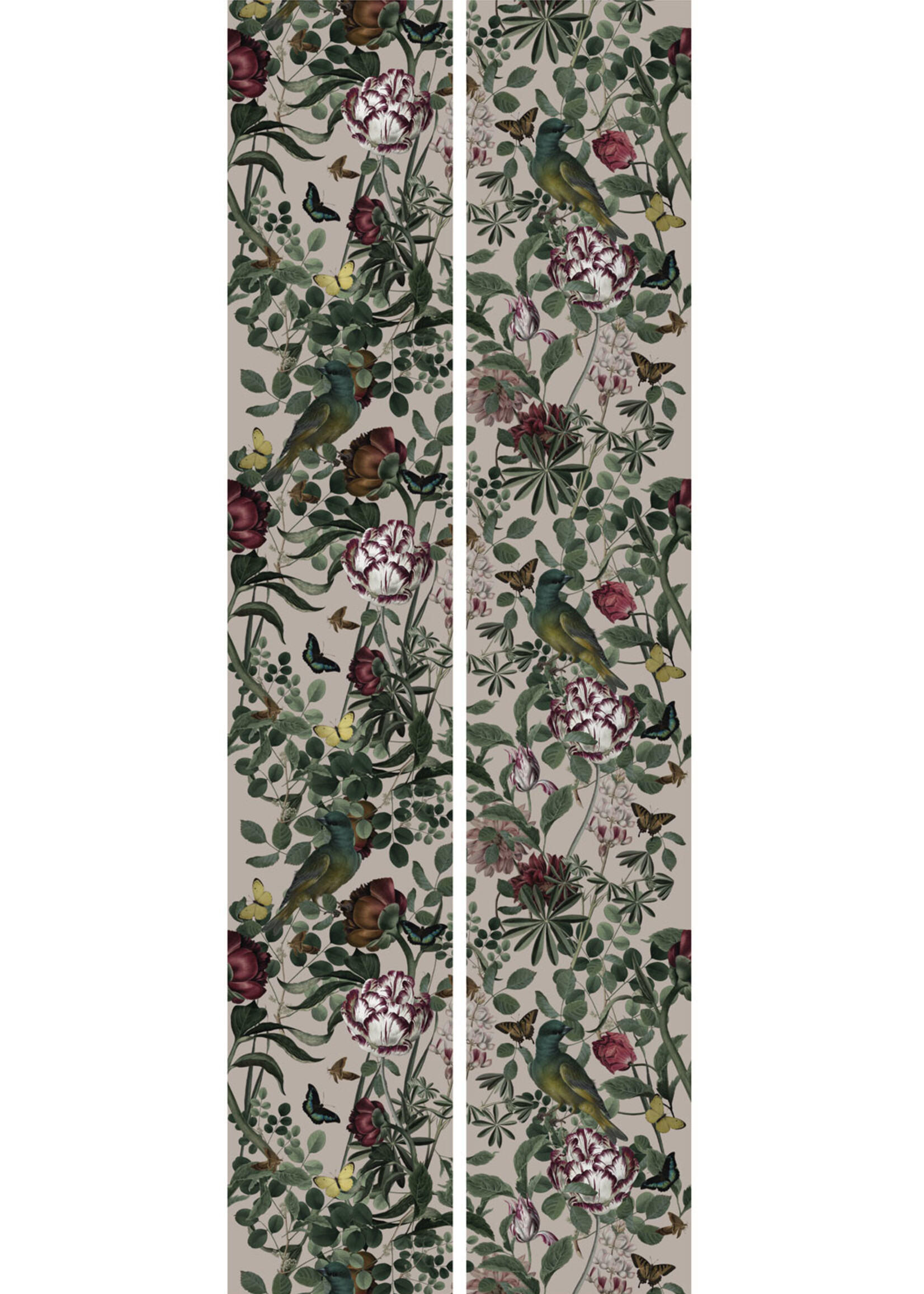 Botanisch behang Bold Botanics, 97.4 x 280 cm