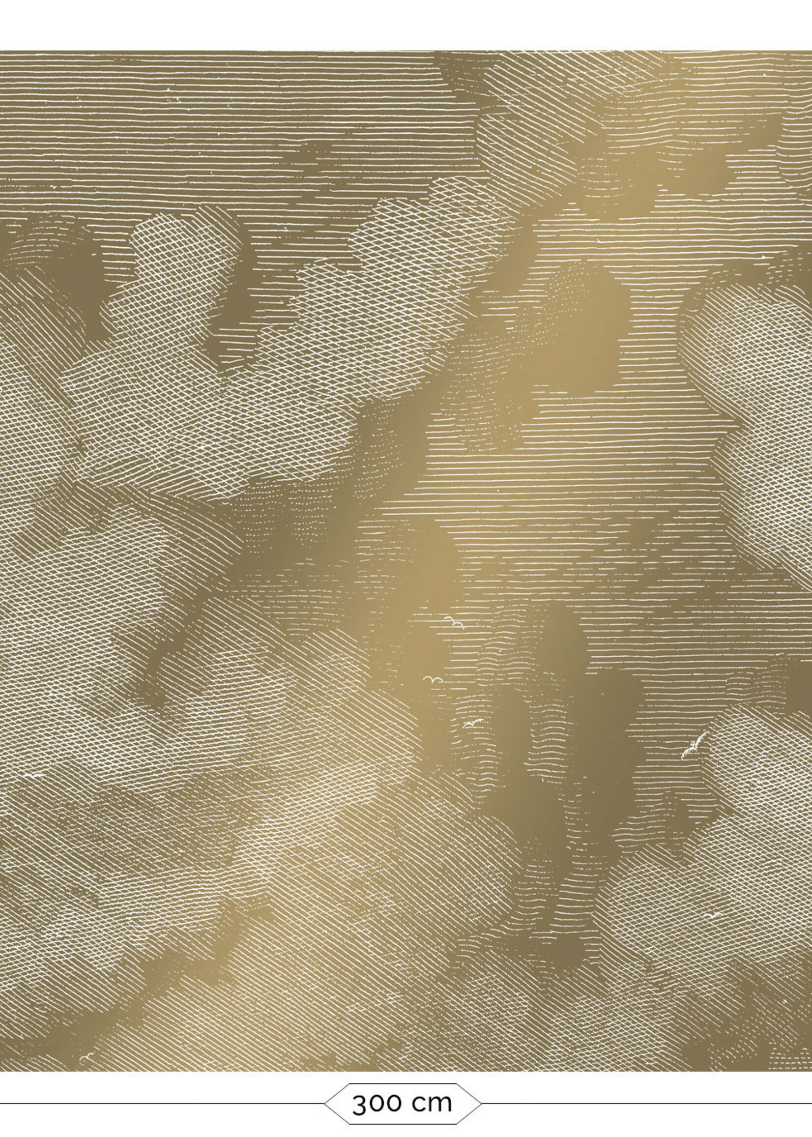 Gold metallics wall mural Engraved Clouds