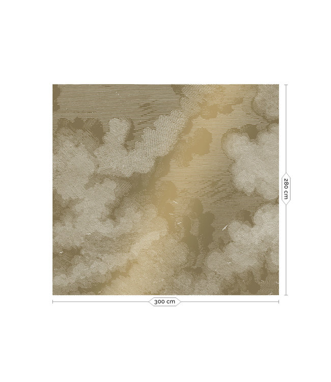 Gold metallics wall mural Engraved Clouds