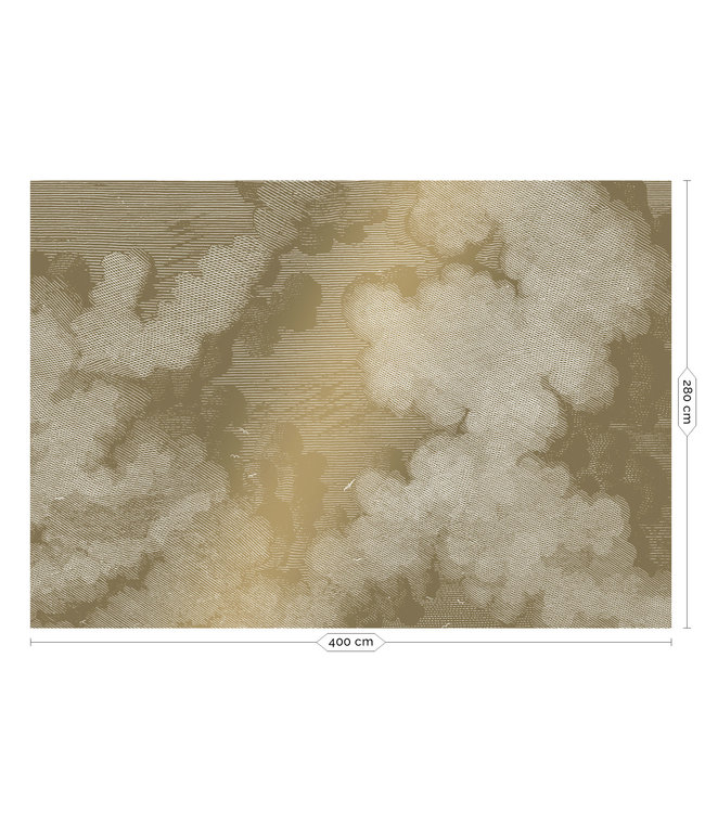 Gold metallics wall mural Engraved Clouds