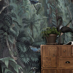 Tropical Landscapes