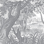 Engraved Landscapes
