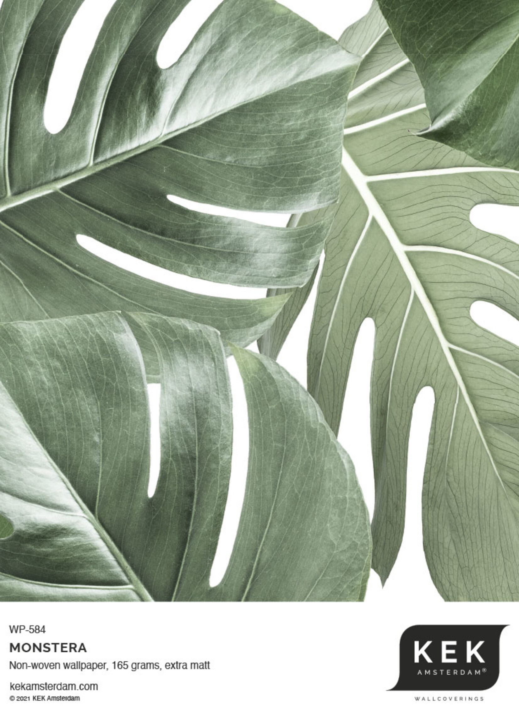 Bladeren behang Monstera, 97.4 x 280 cm
