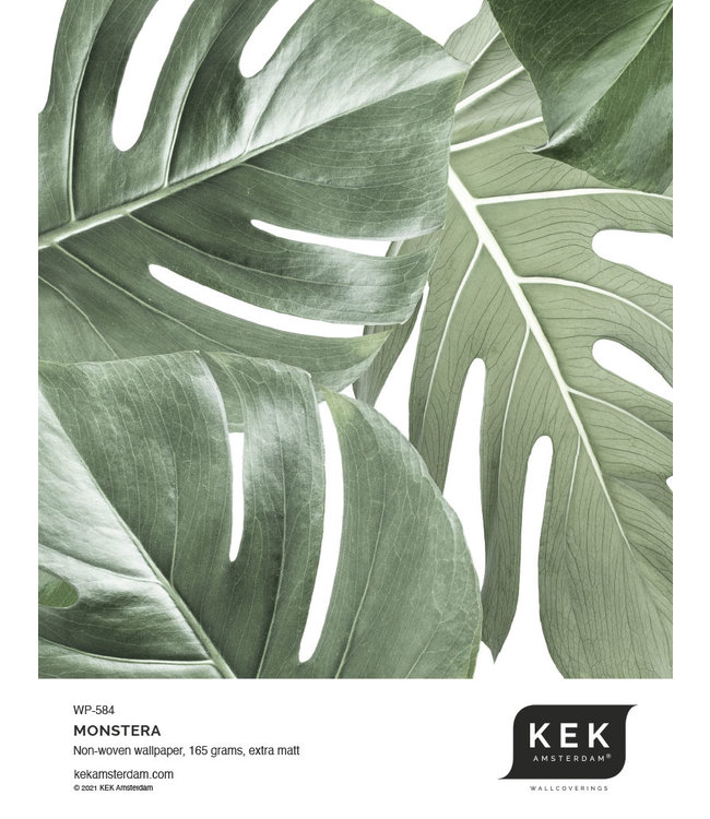 Botanical wallpaper Monstera, 97.4 x 280 cm