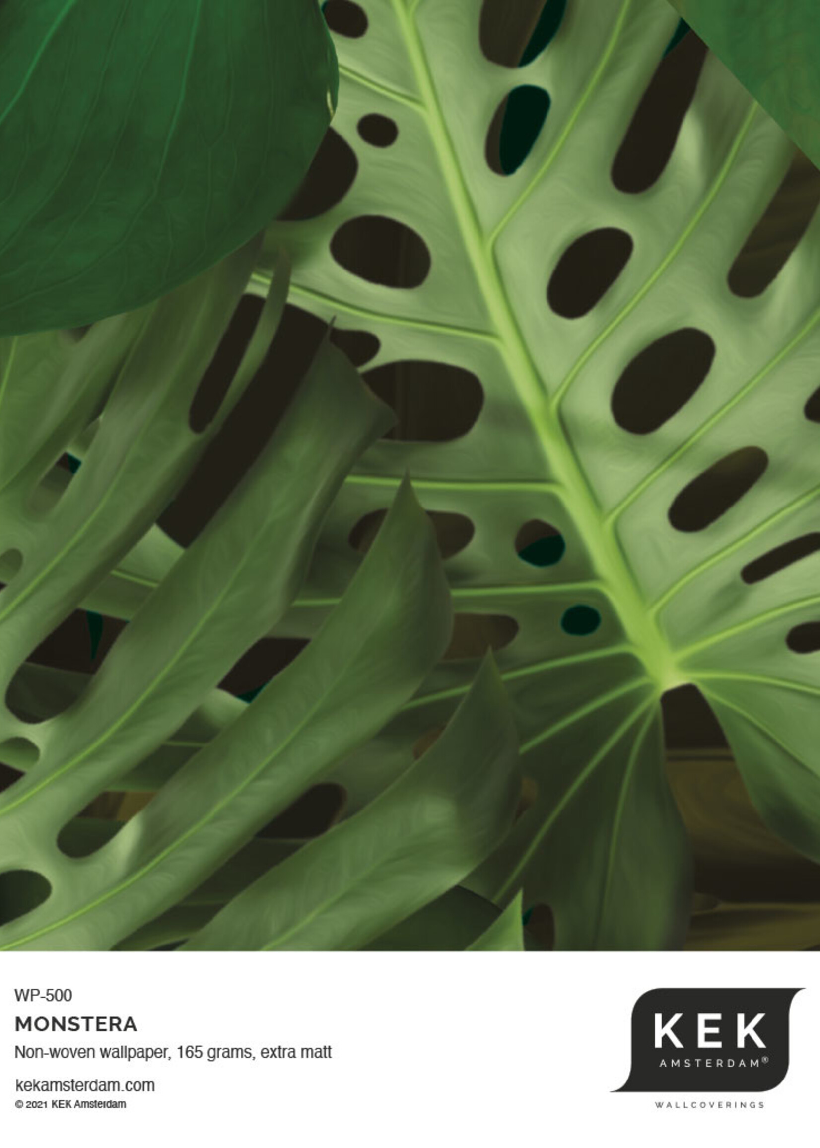 Botanical wallpaper Monstera, 97.4 x 280 cm