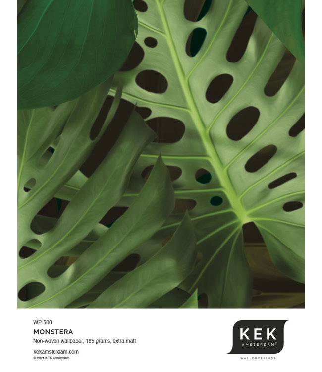 Botanical wallpaper Monstera, 97.4 x 280 cm