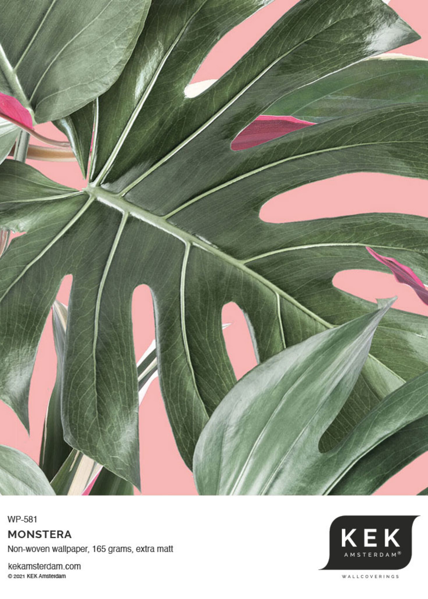 Botanical wallpaper Monstera, 97.4 x 280 cm