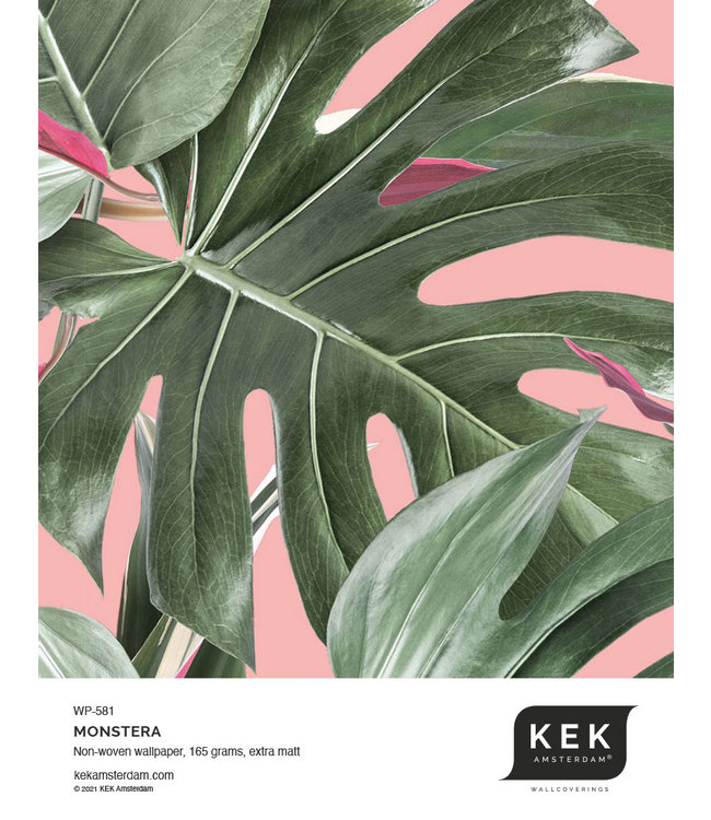 Bladeren behang Monstera, 97.4 x 280 cm