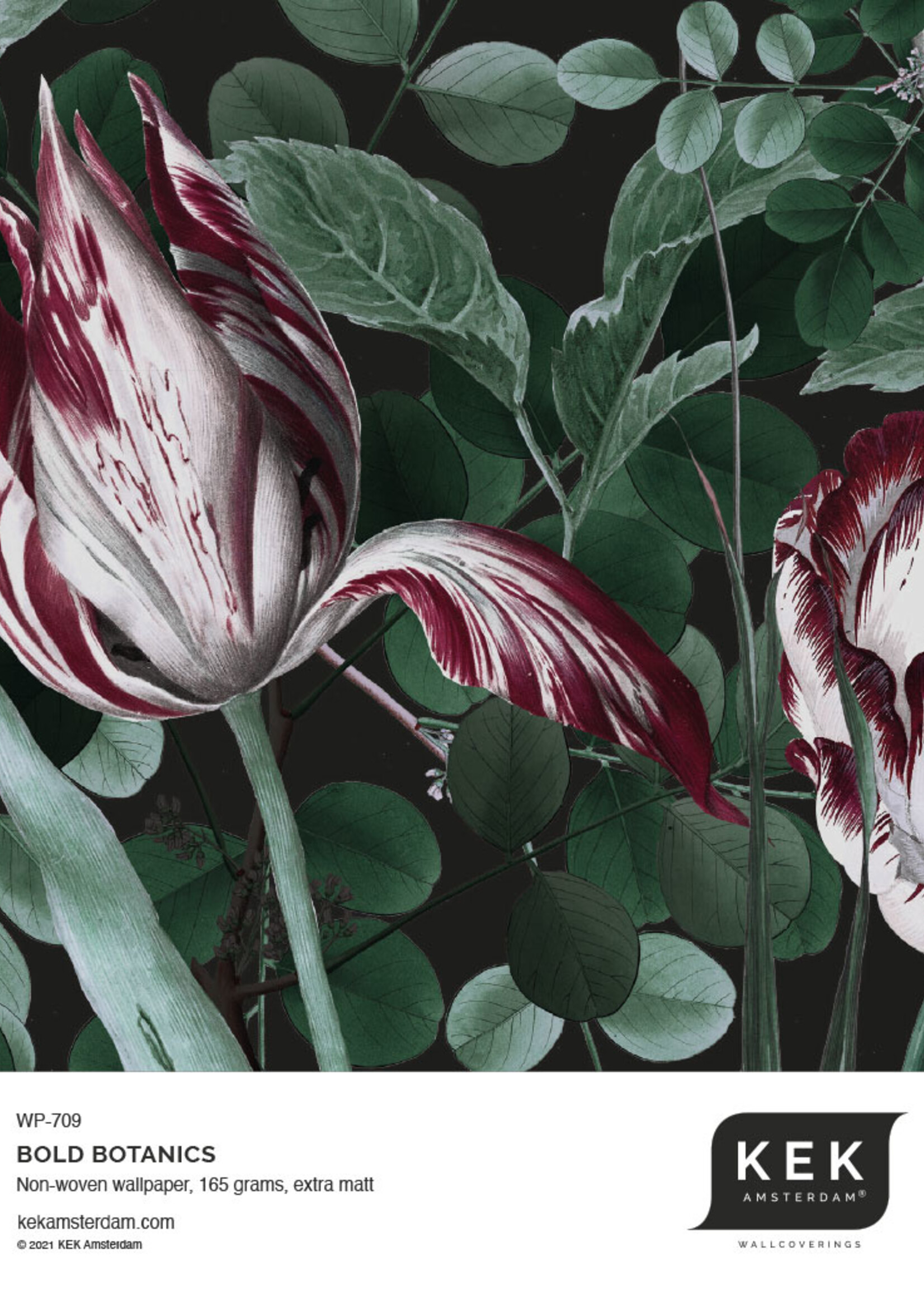 Botanisch behang Bold Botanics, 97.4 x 280 cm