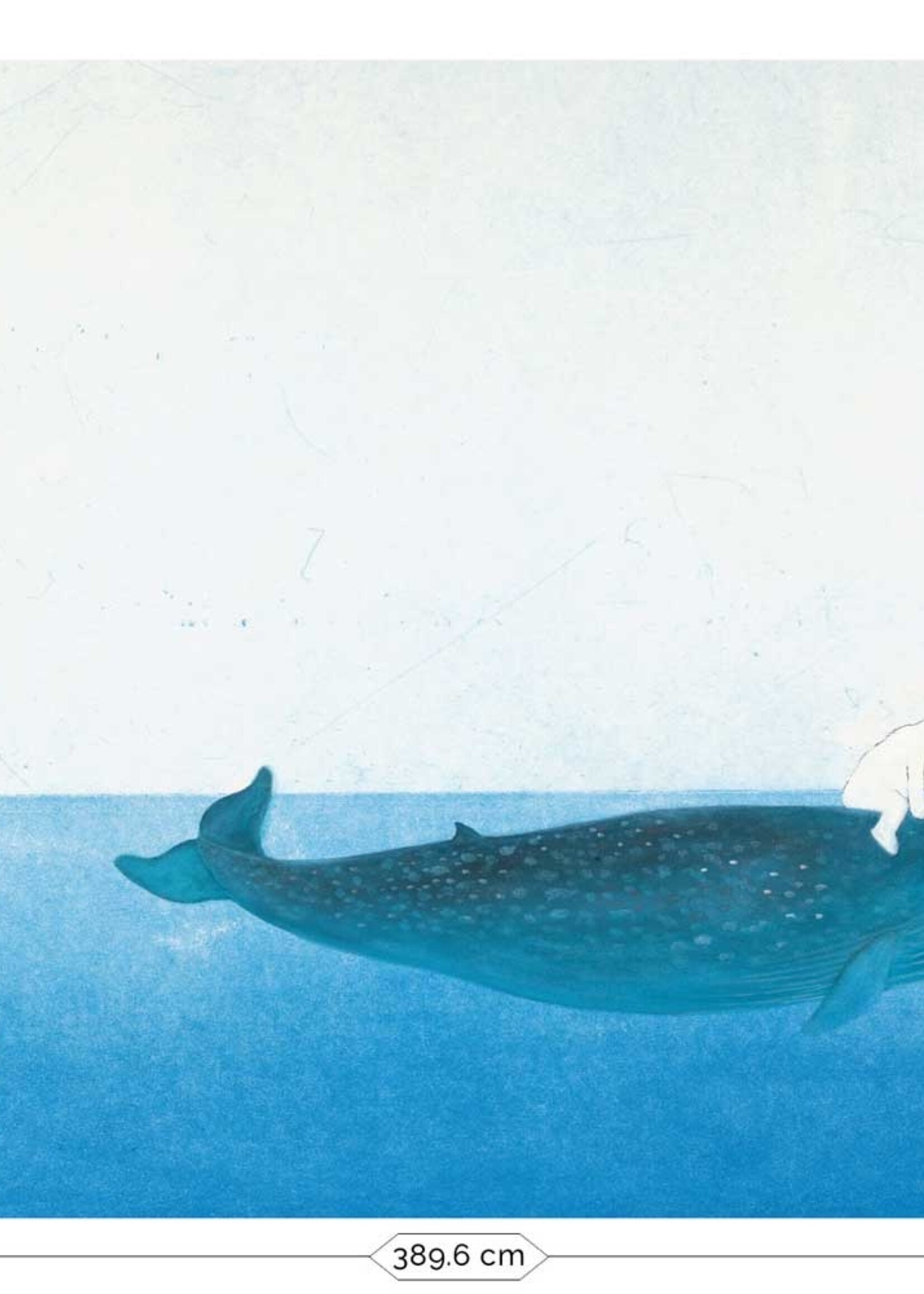 Wall Mural Riding The Whale