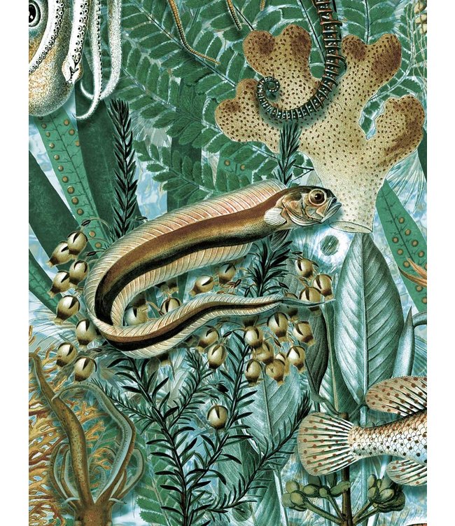 Wall Mural Underwater Jungle