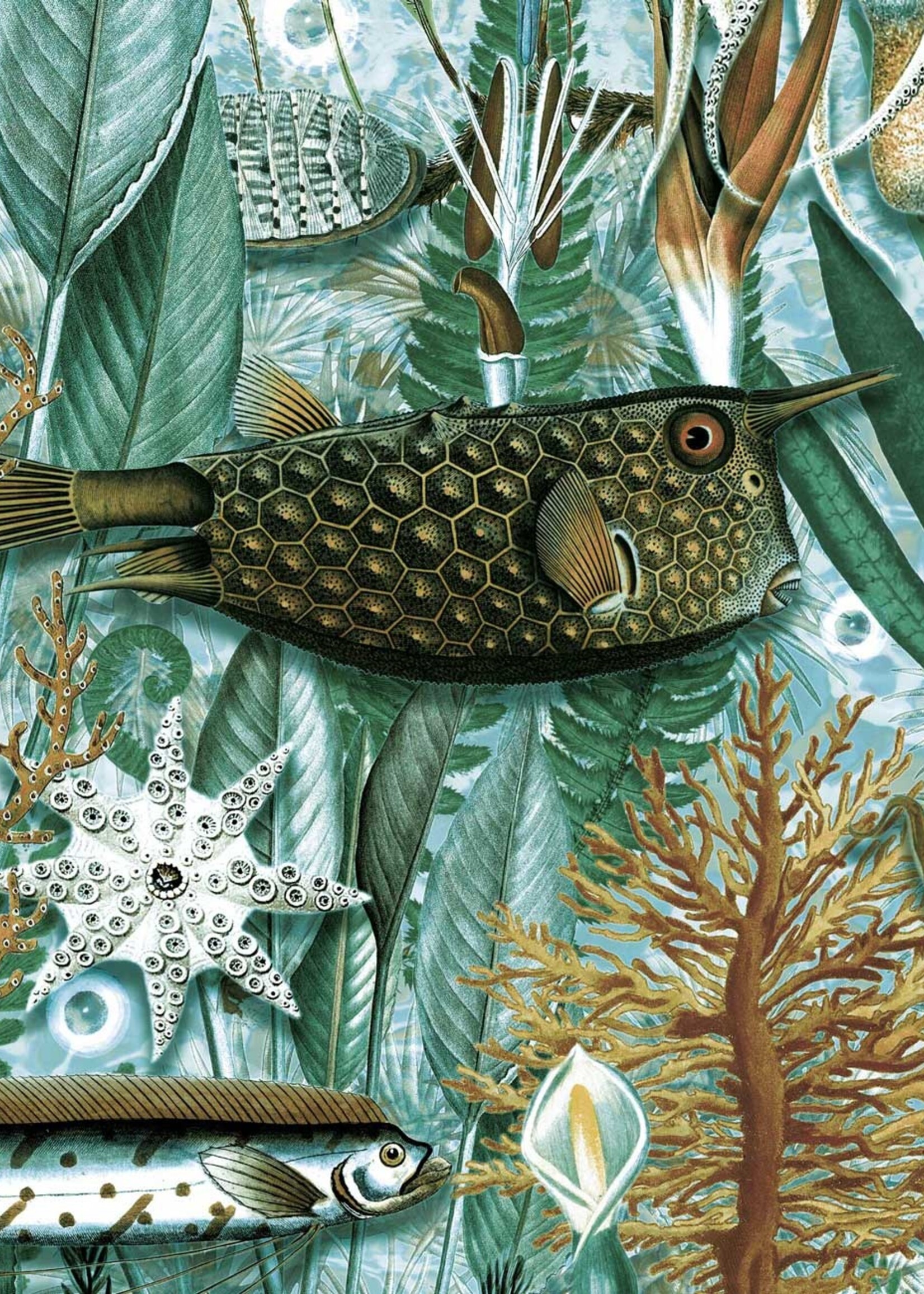 Behang Underwater Jungle