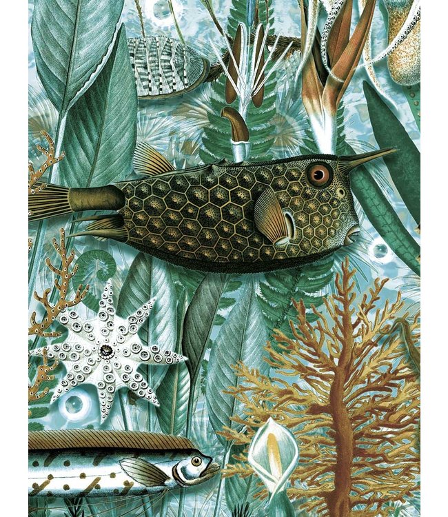 Wall Mural Underwater Jungle