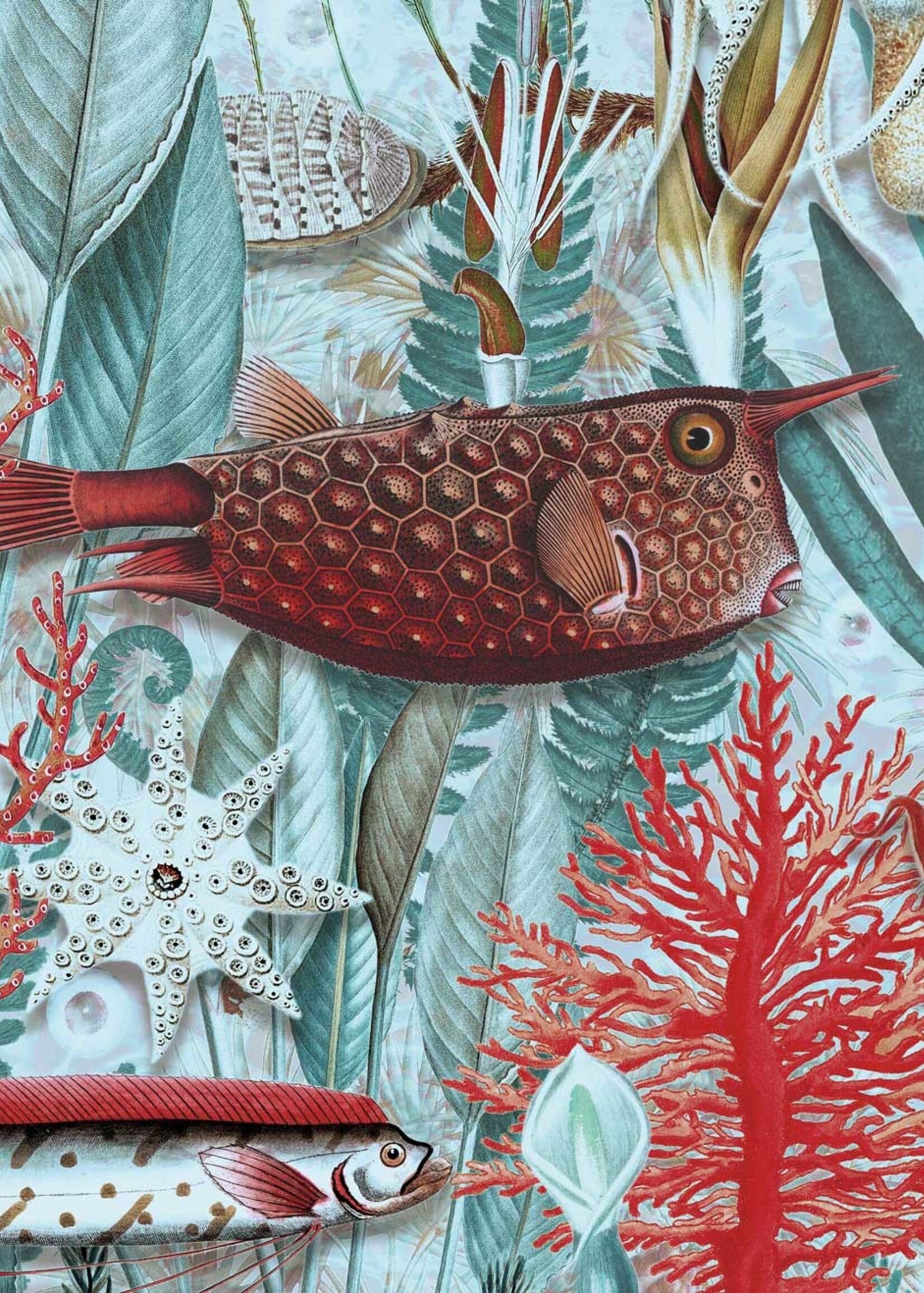 Behang Underwater Jungle