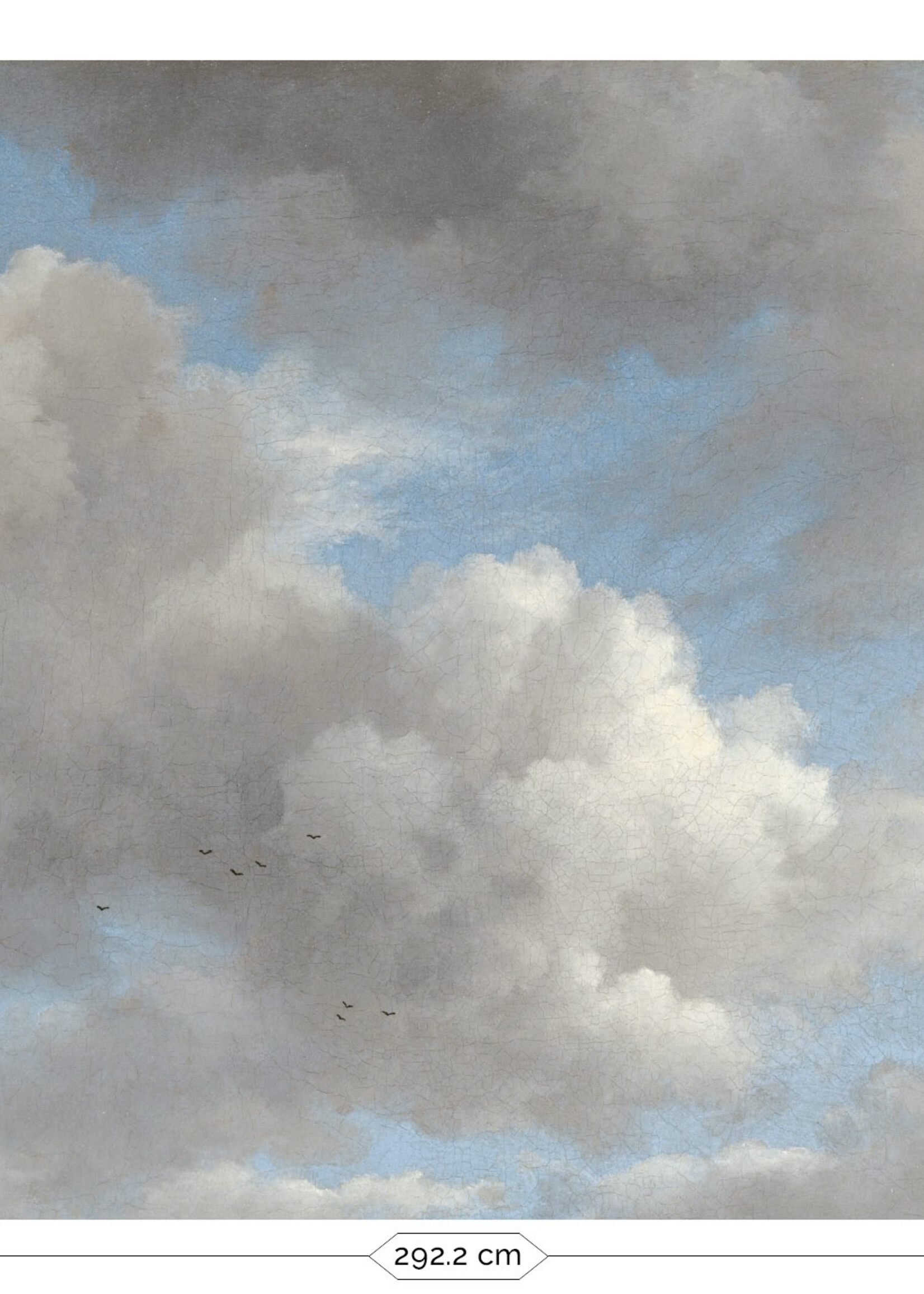 Fototapete Golden Age Clouds