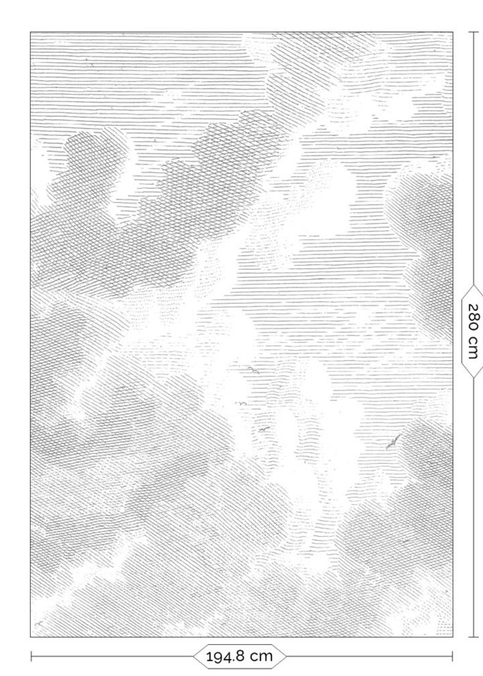 Wall Mural Engraved Clouds