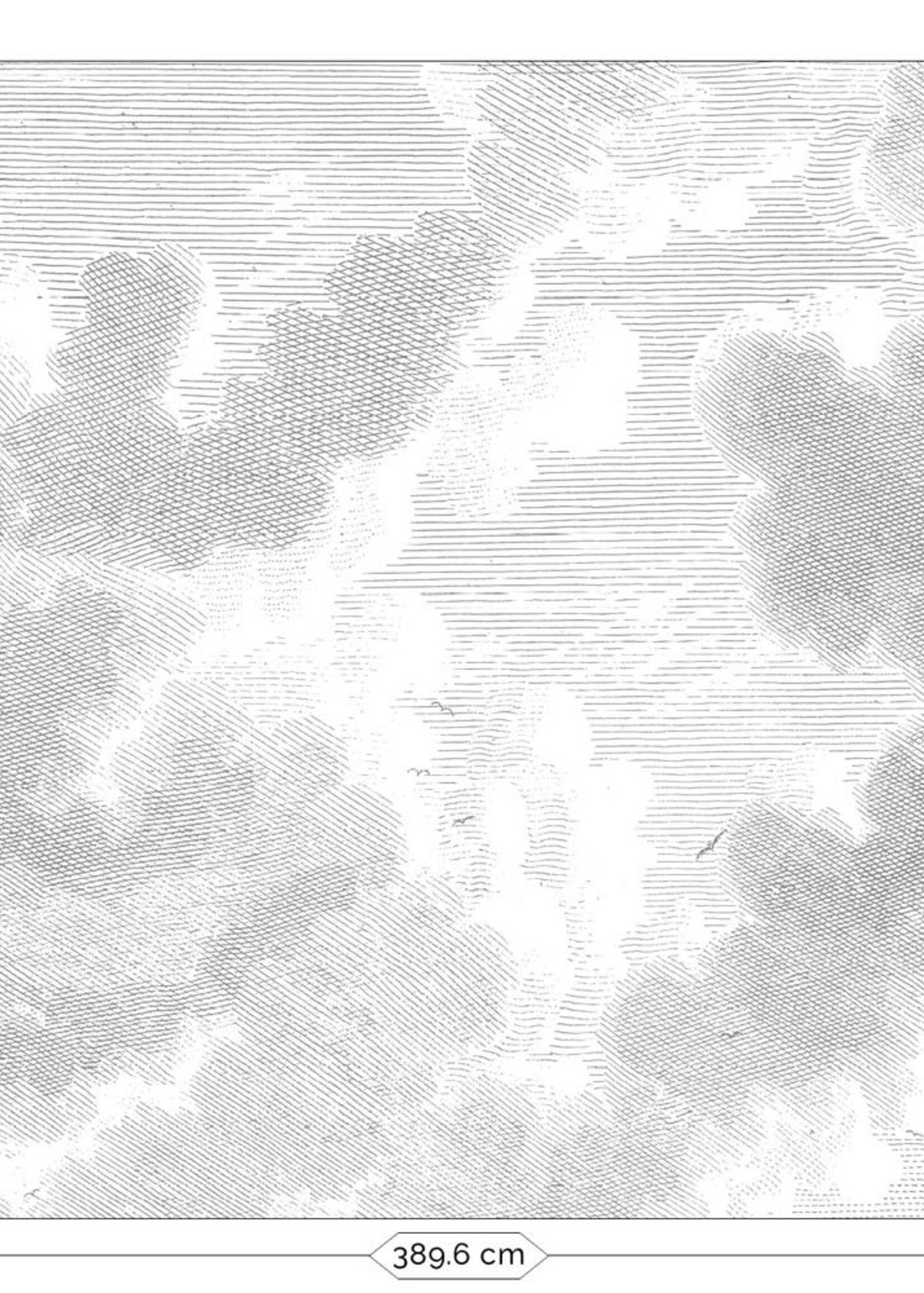 Fototapete Engraved Clouds