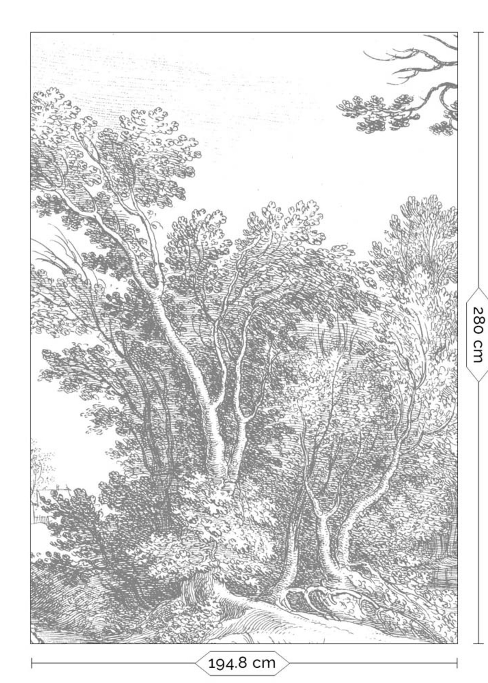 Landschap behang Engraved Landscapes