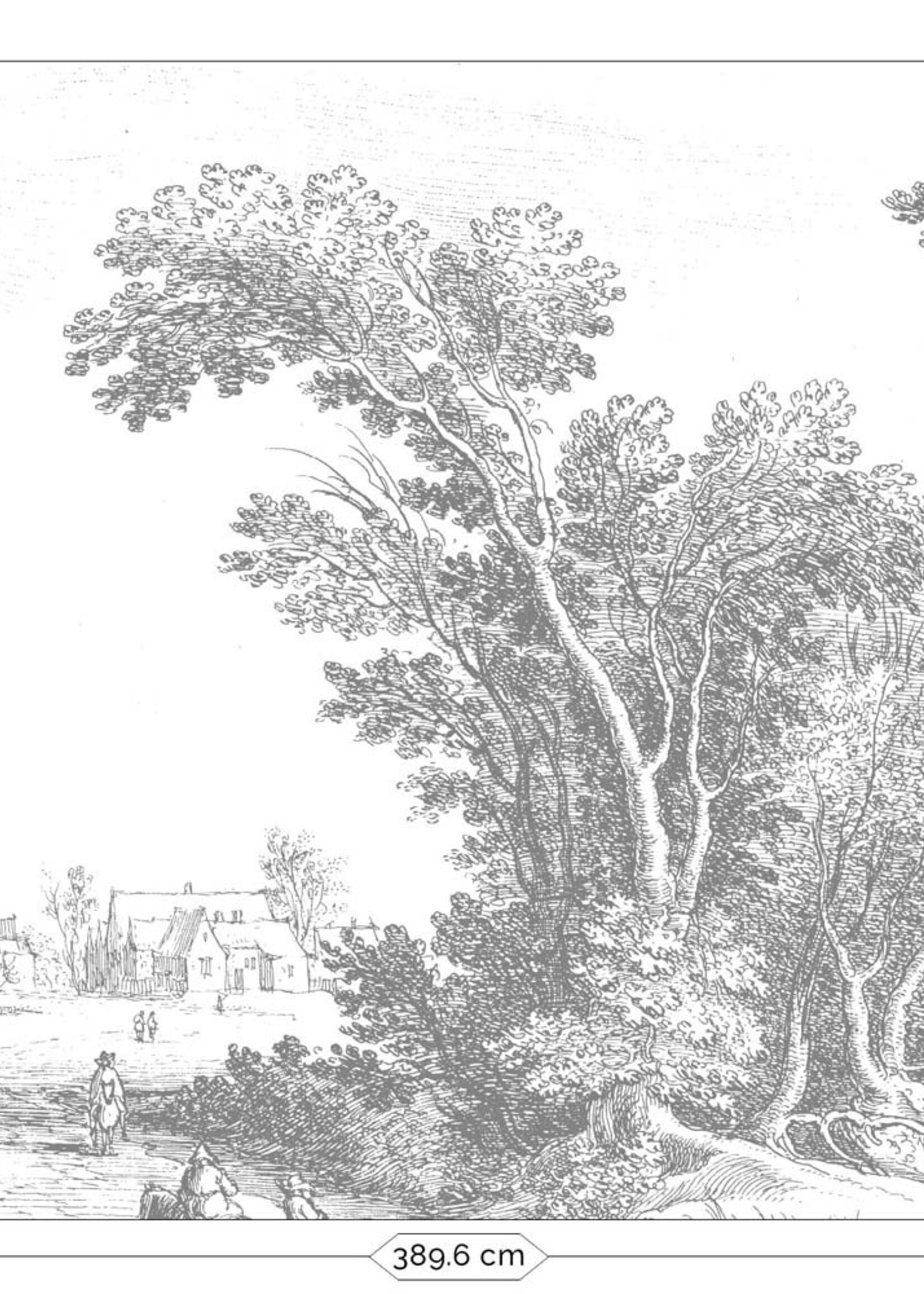 Wall Mural Engraved Landscapes