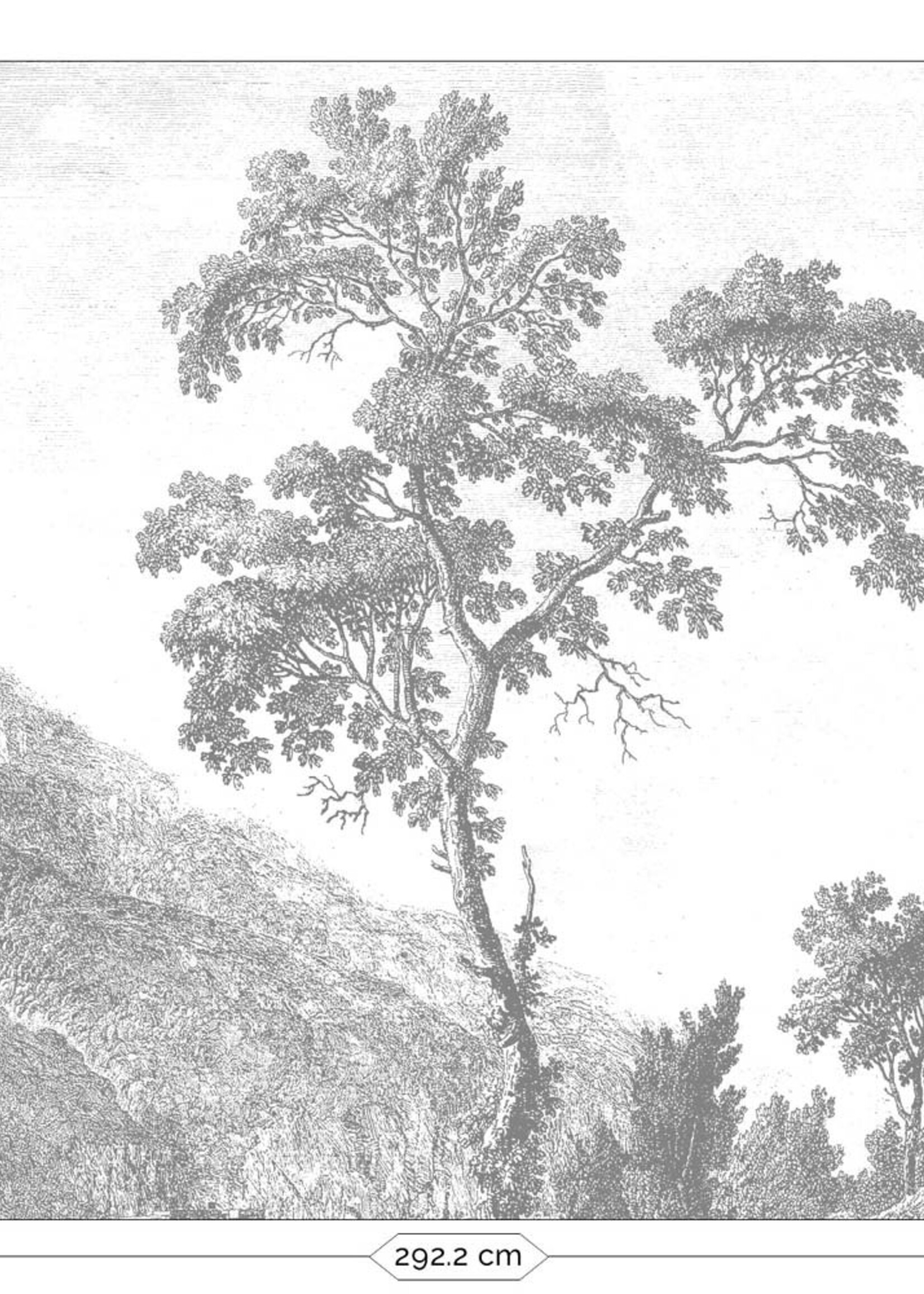 Wall Mural Engraved Landscapes