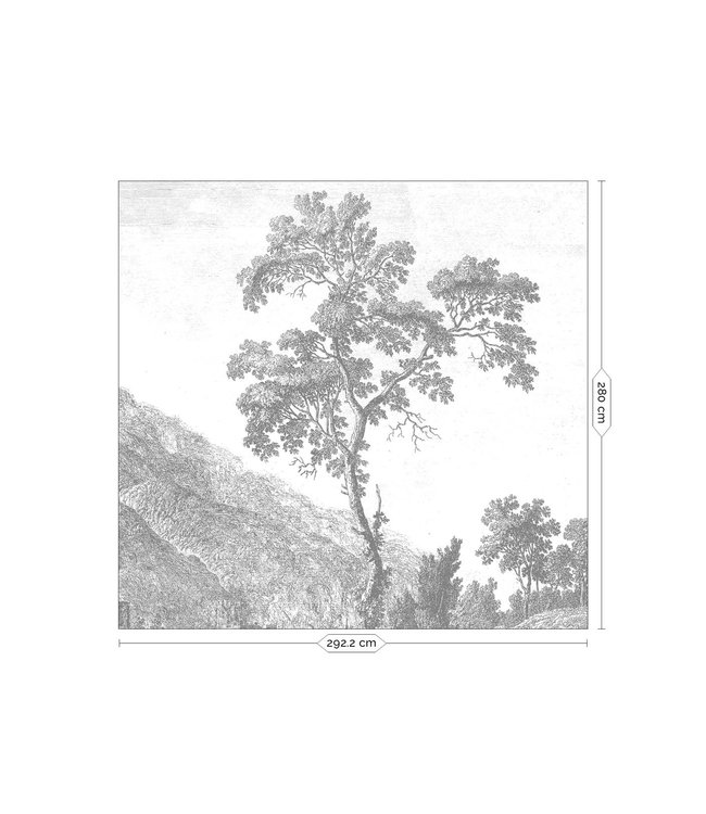 Wall Mural Engraved Landscapes