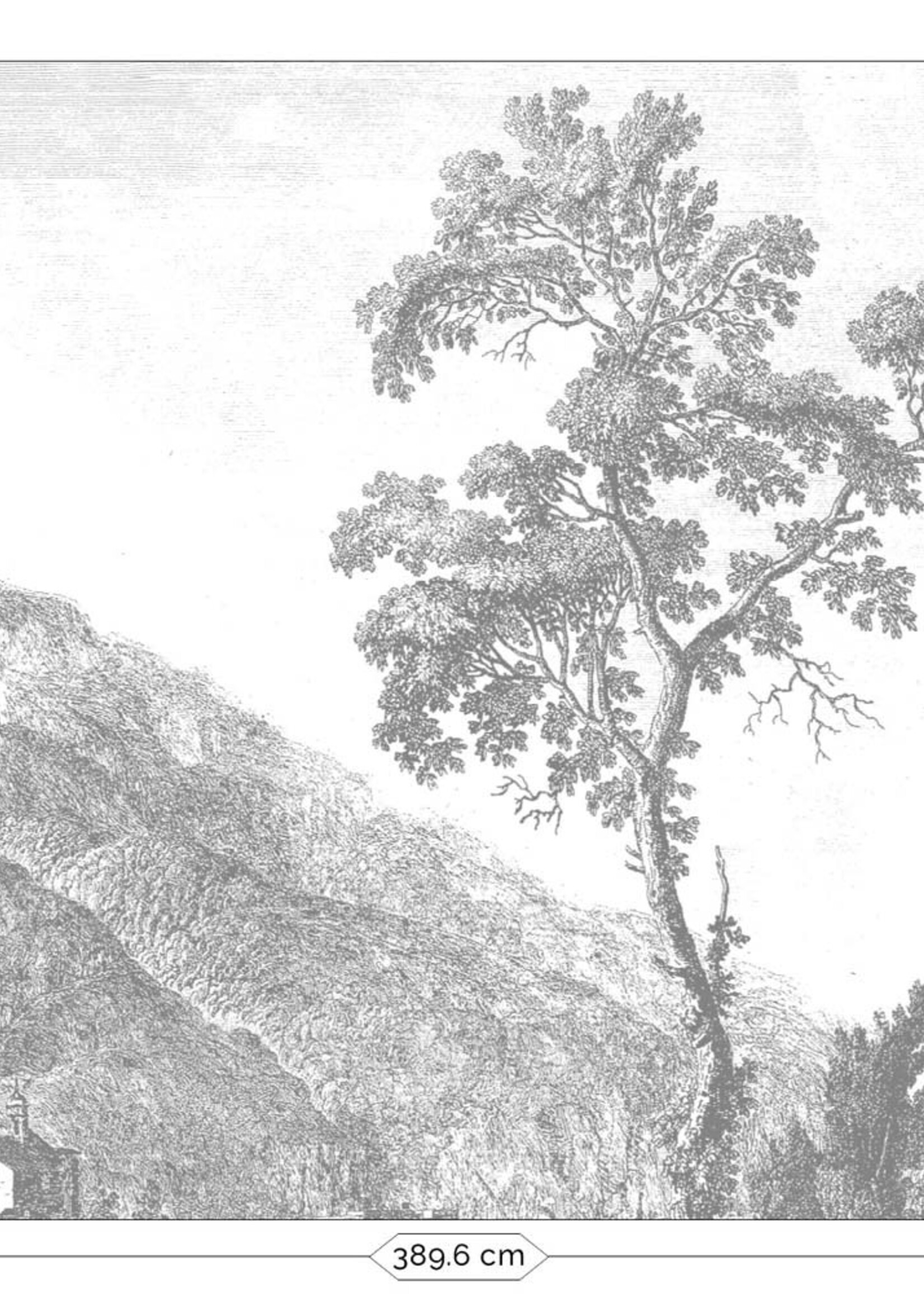 Wall Mural Engraved Landscapes