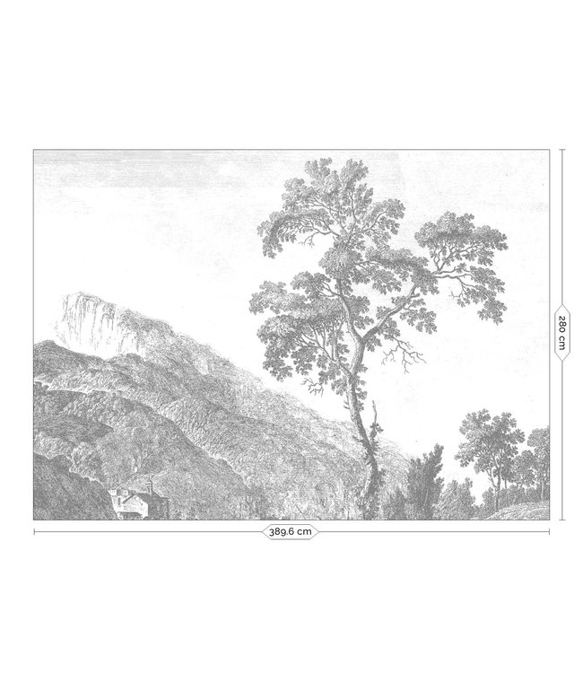 Fototapete Engraved Landscapes