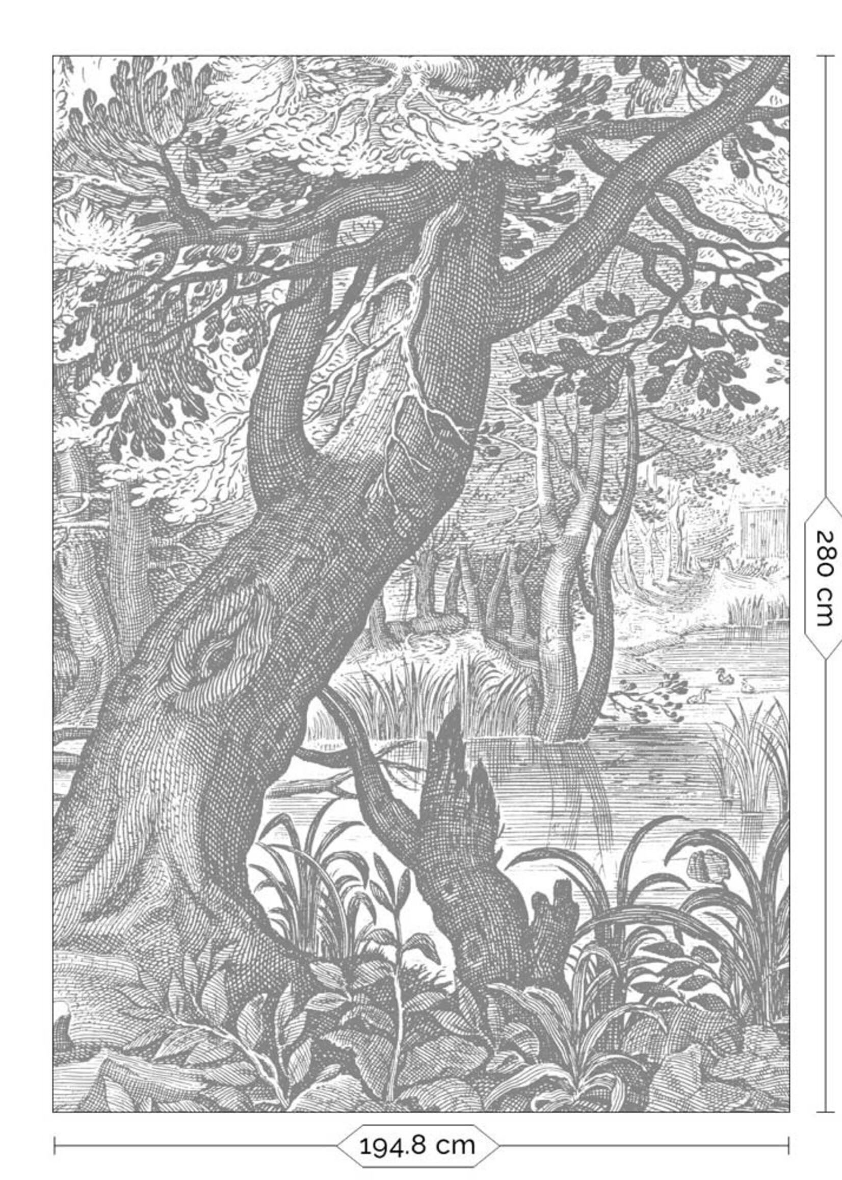Wall Mural Engraved Landscapes
