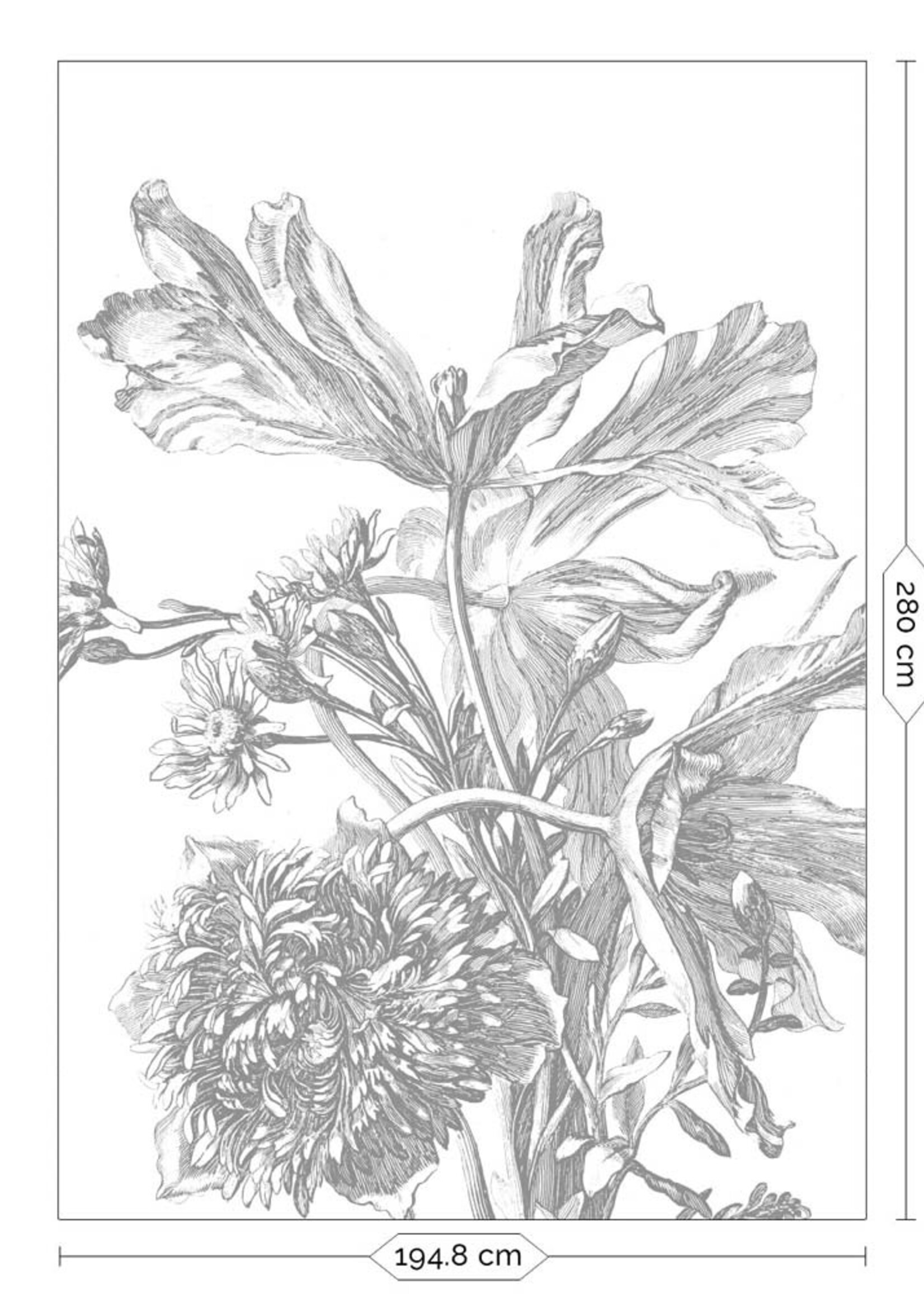Fototapete Engraved Flowers