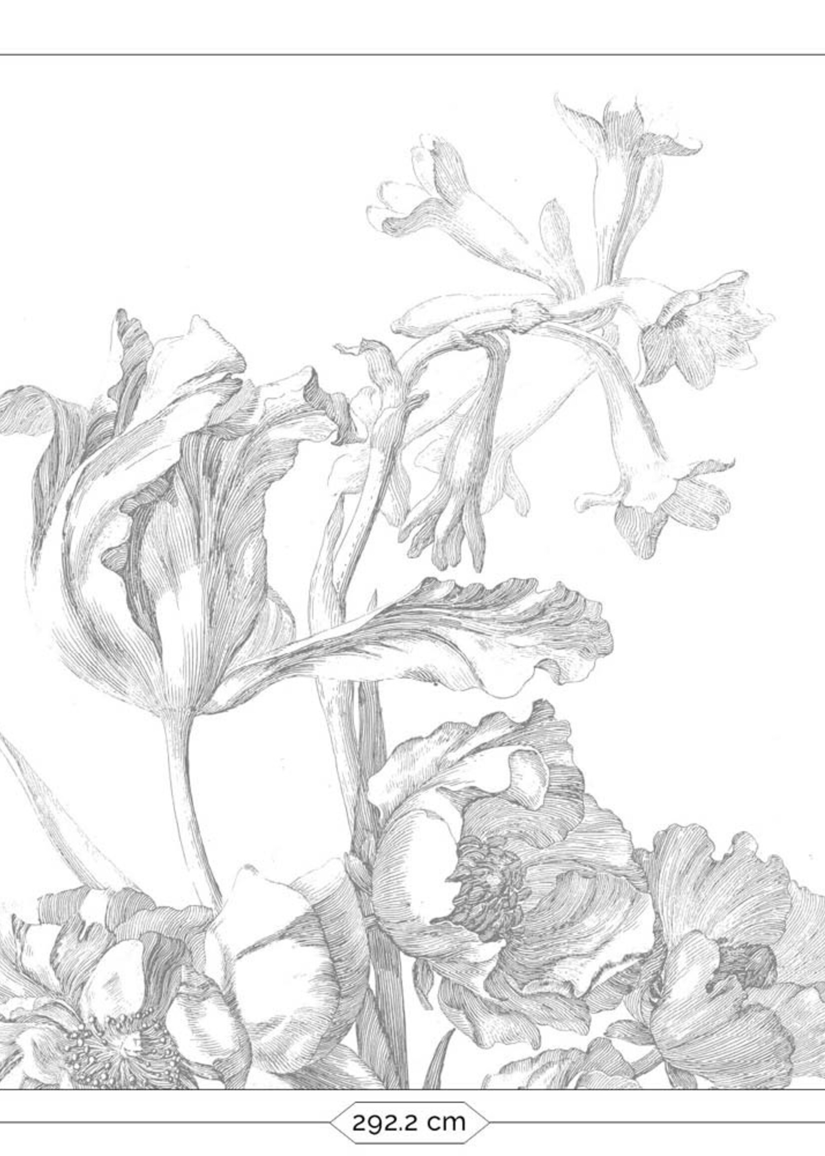 Wall Mural Engraved Flowers