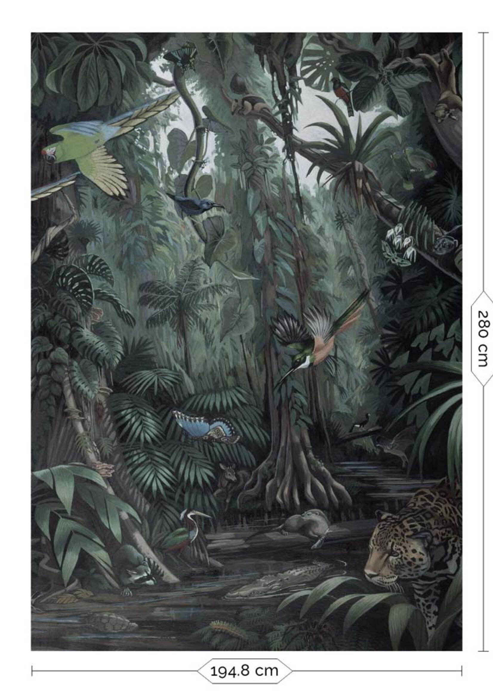 Jungle behang Tropical Landscapes