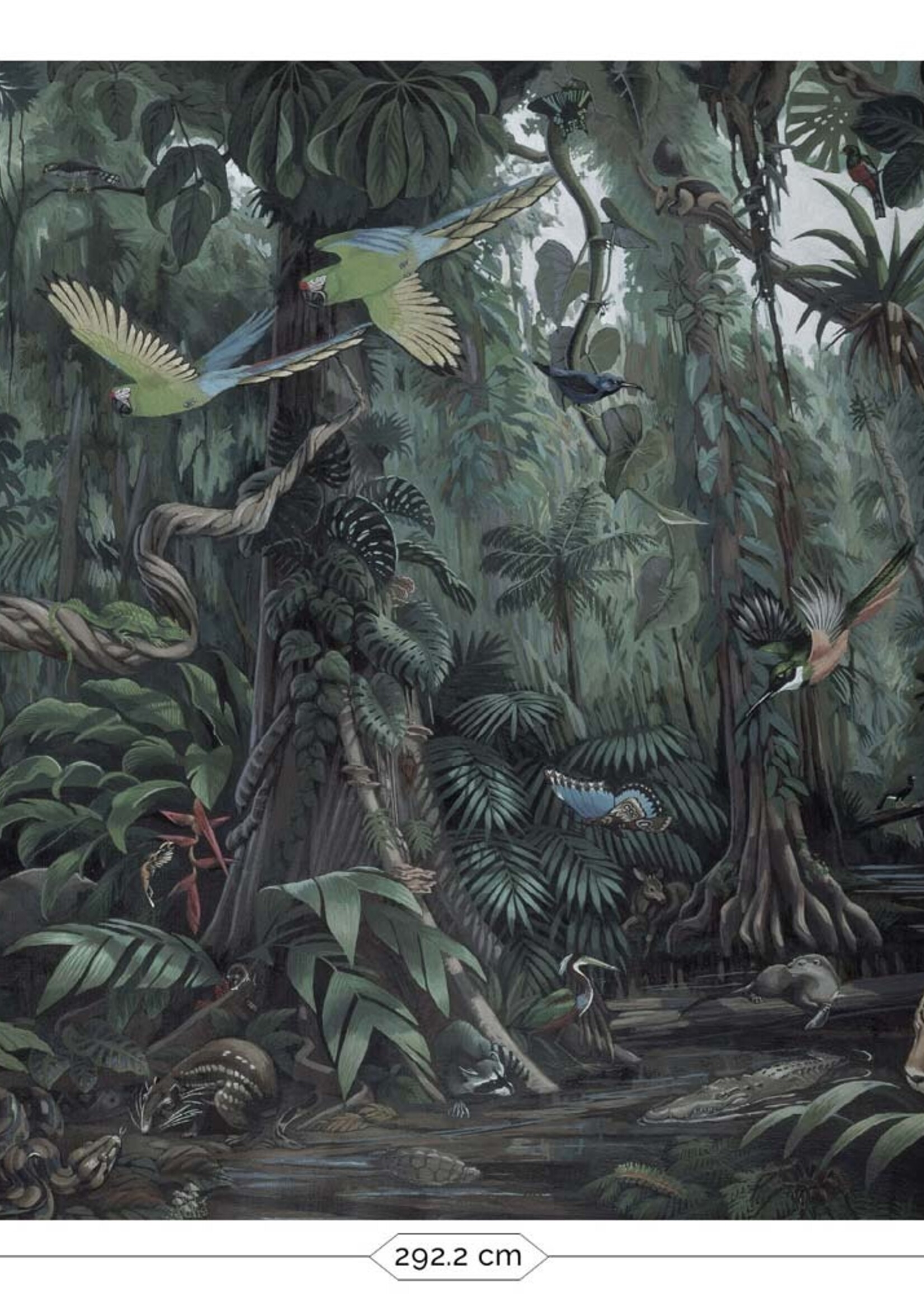 Wall Mural Tropical Landscapes