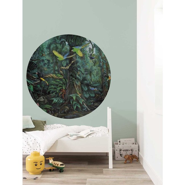 Wallpaper Circle Tropical Landscapes